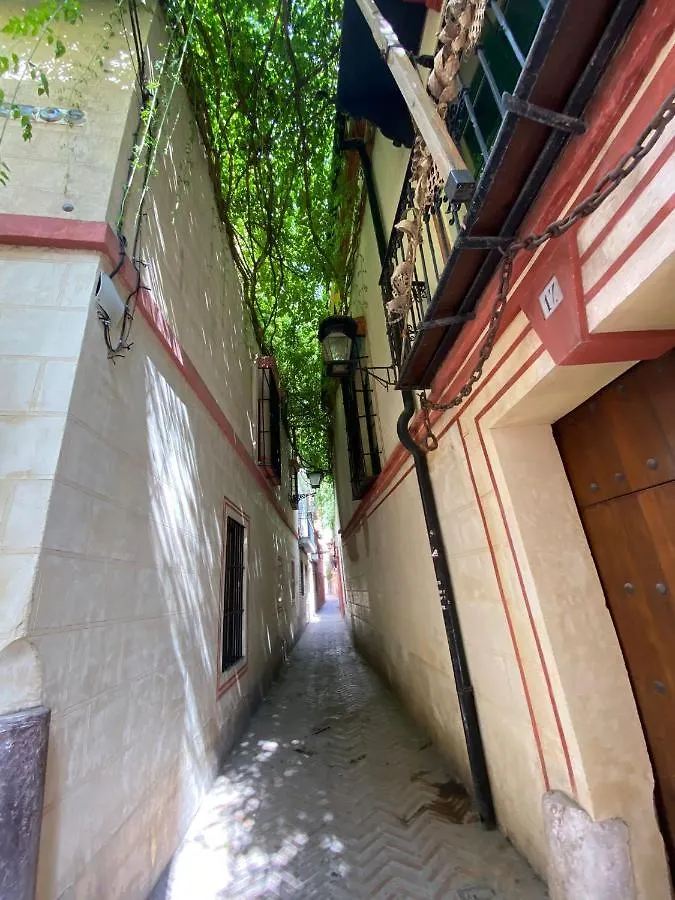 Apartamento Fantástico dúplex corazón de la Judería Sevilla